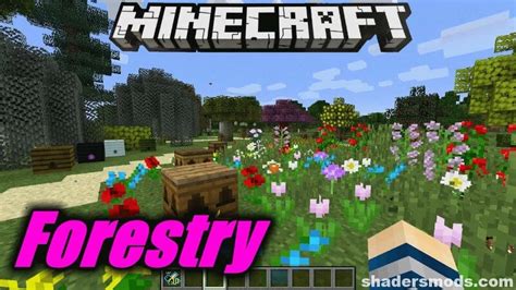 forestry 1.16.5|Forestry Mod 1.16.5 → 1.12.2 .